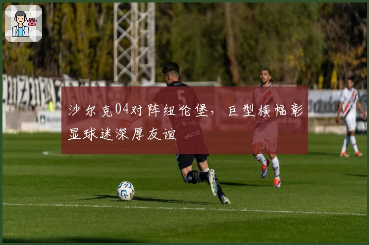 沙尔克04对阵纽伦堡，巨型横幅彰显球迷深厚友谊