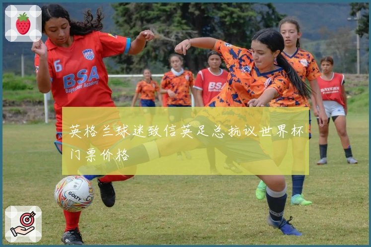 英格兰球迷致信英足总抗议世界杯门票价格